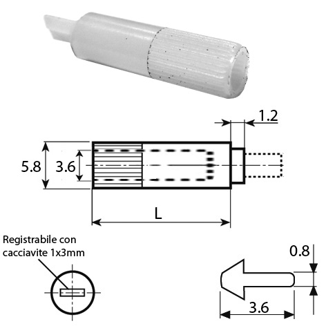 disegno-VC012124-R