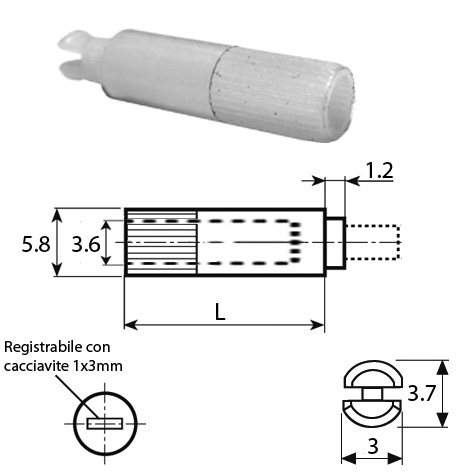 disegno-VC012014-R