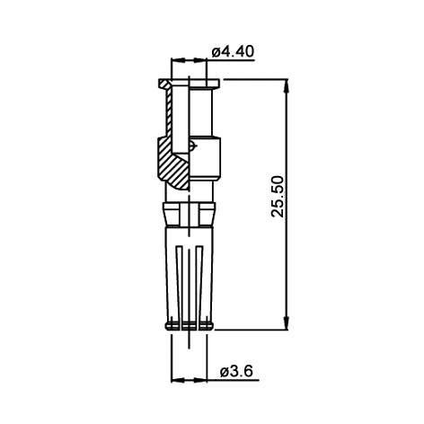 disegno-PB025004-R