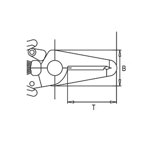 disegno-YYT06070