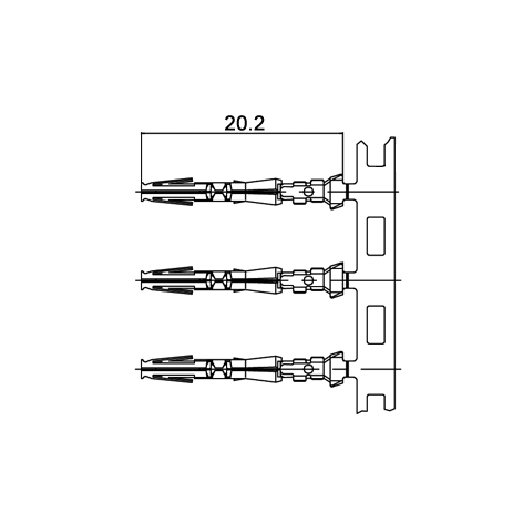 disegno-PB004785-R