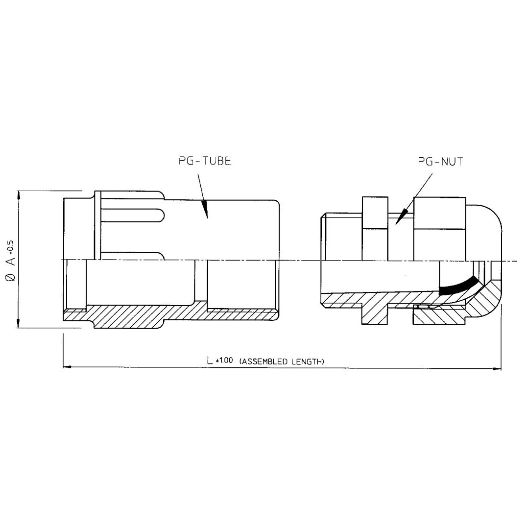 disegno-PB003516-R